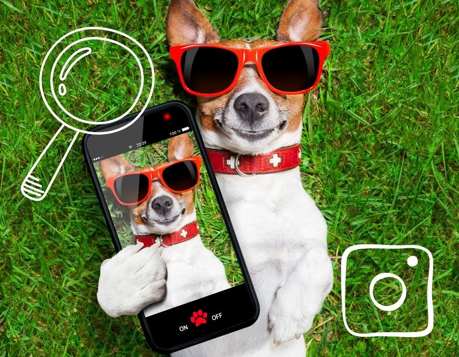 Instagram Profil Fotoğrafı Büyütme